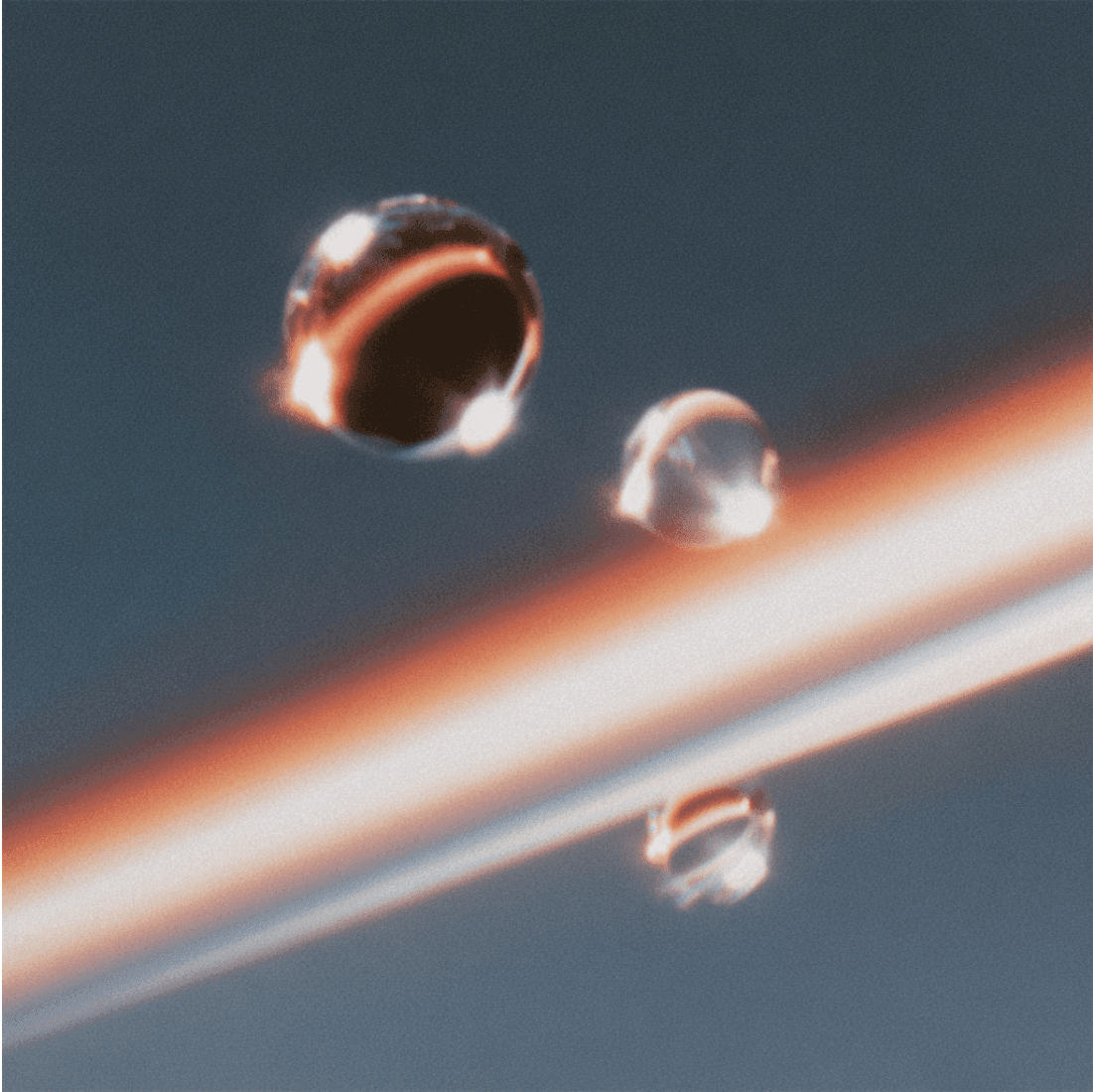 Portrait Shadow Play