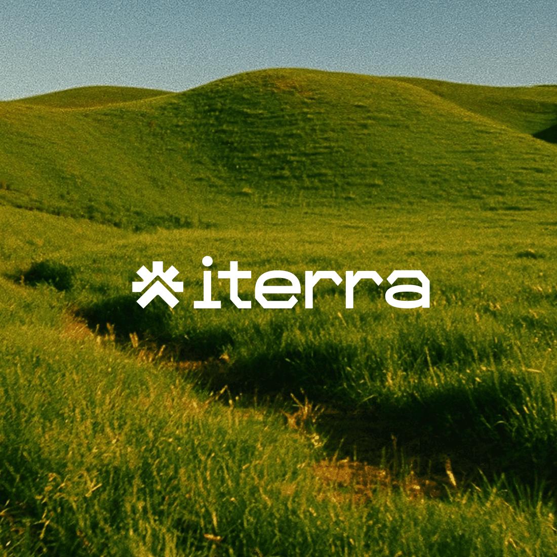 Iterra Brand Green Hills